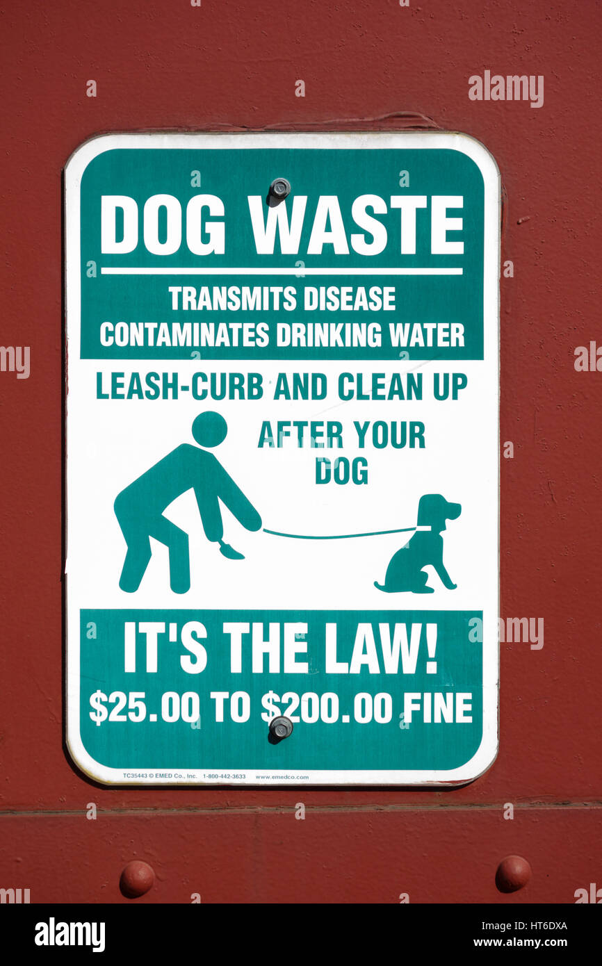'Curb your dog' sign attached to a wall. New York City, USA Stock Photo