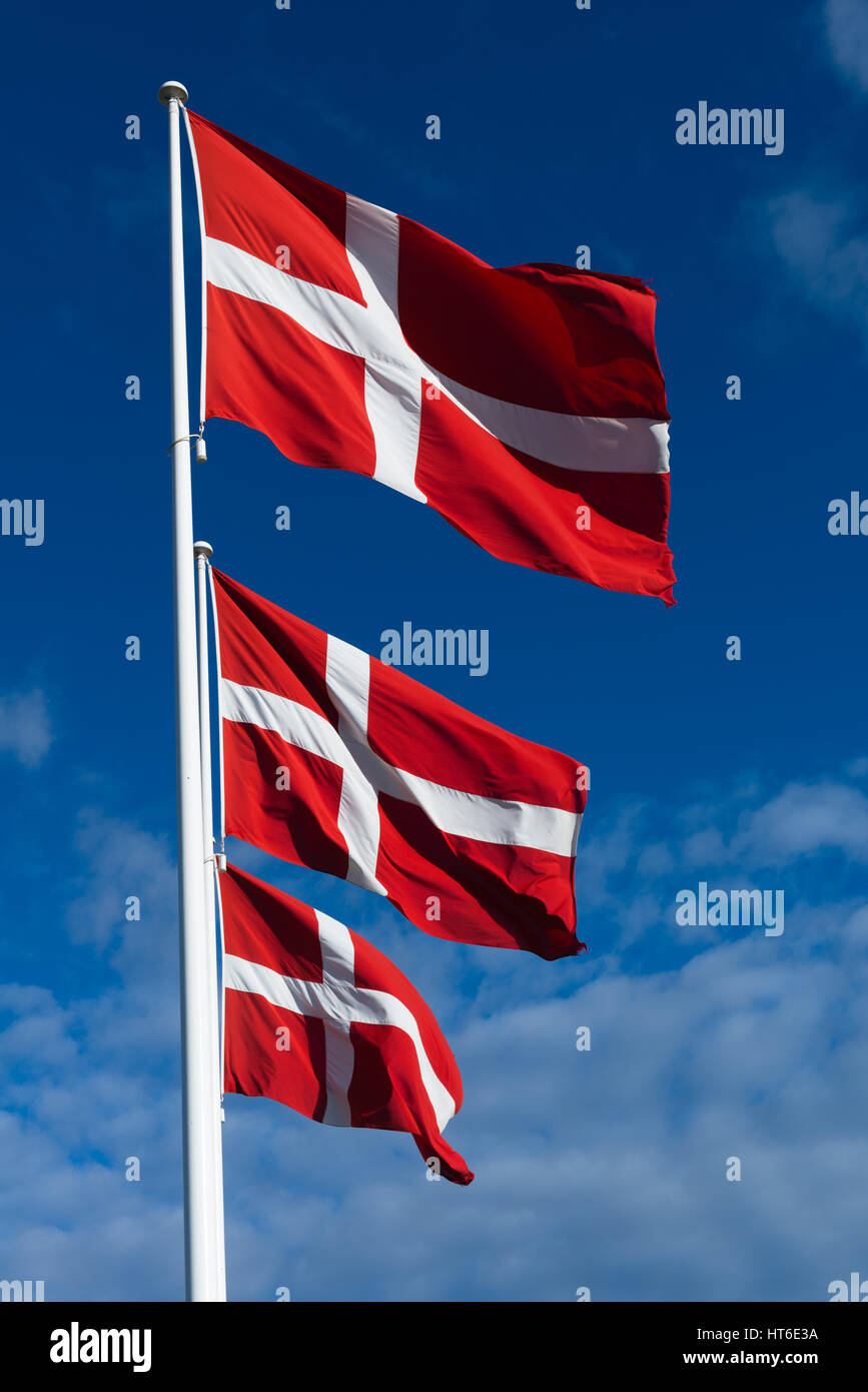 Three Danish flags at the Moesgaard Museum (MOMU), Hojbjerg near Aarhus, Denmark, Europe Stock Photo