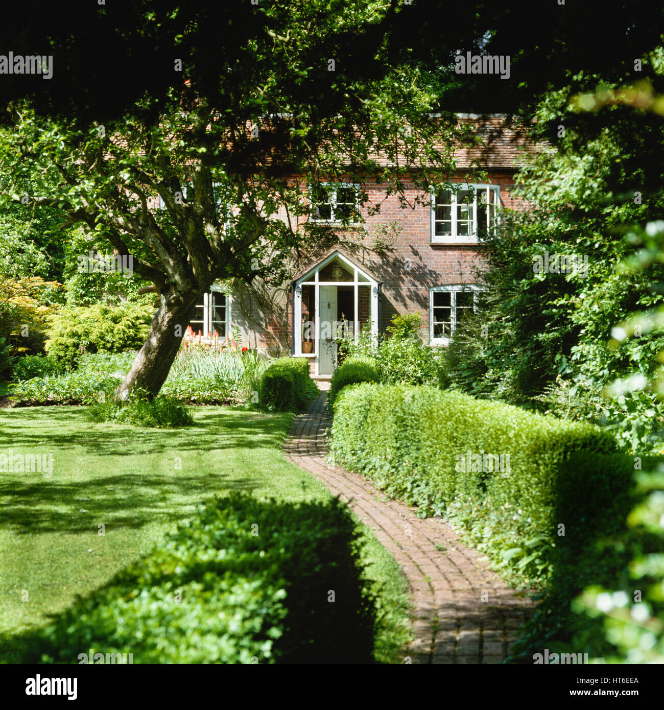 Garden path. Stock Photo