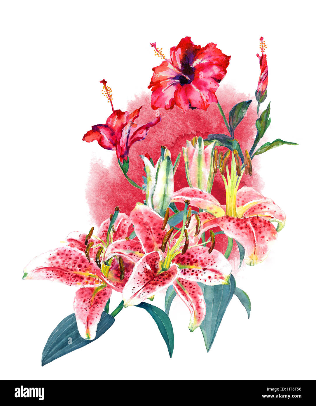 Beautiful tropical bouquet pink lilies and scarlet hibiscus on pink