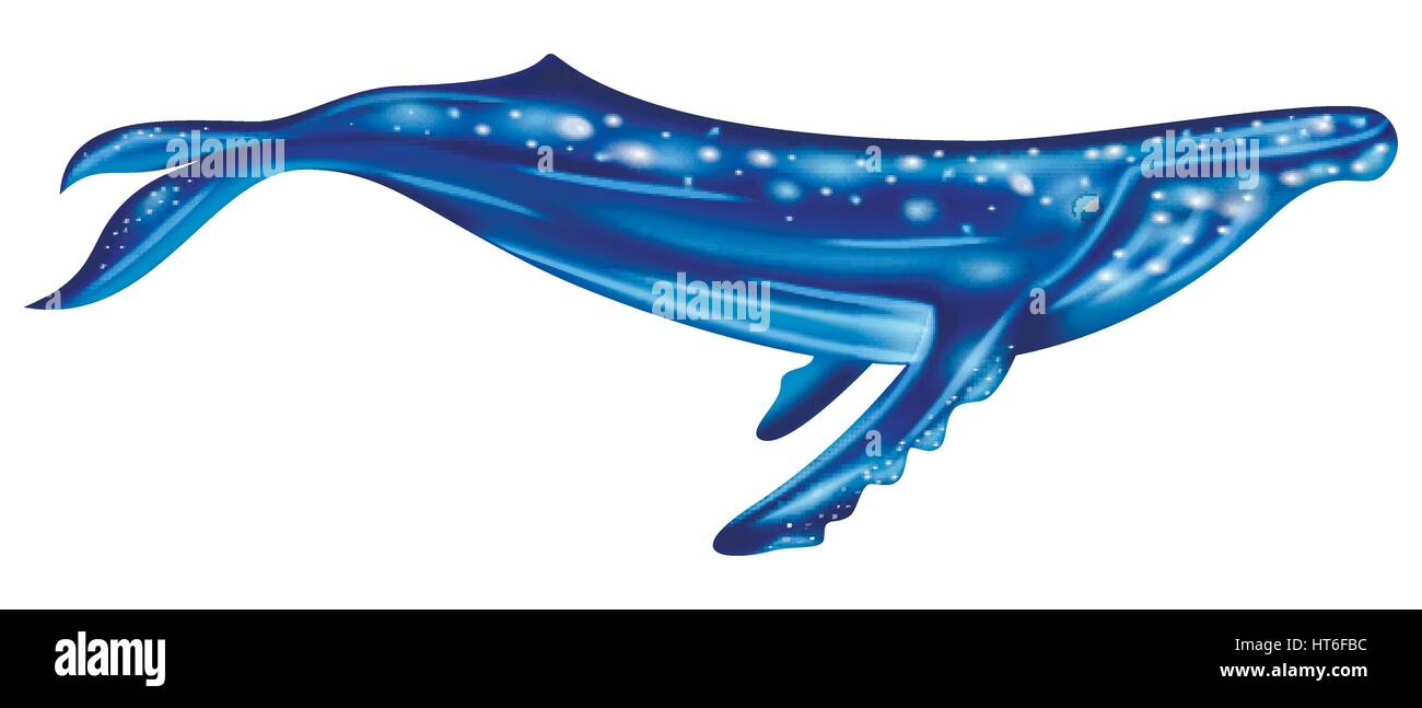 Watercolor blue whale Stock Vector