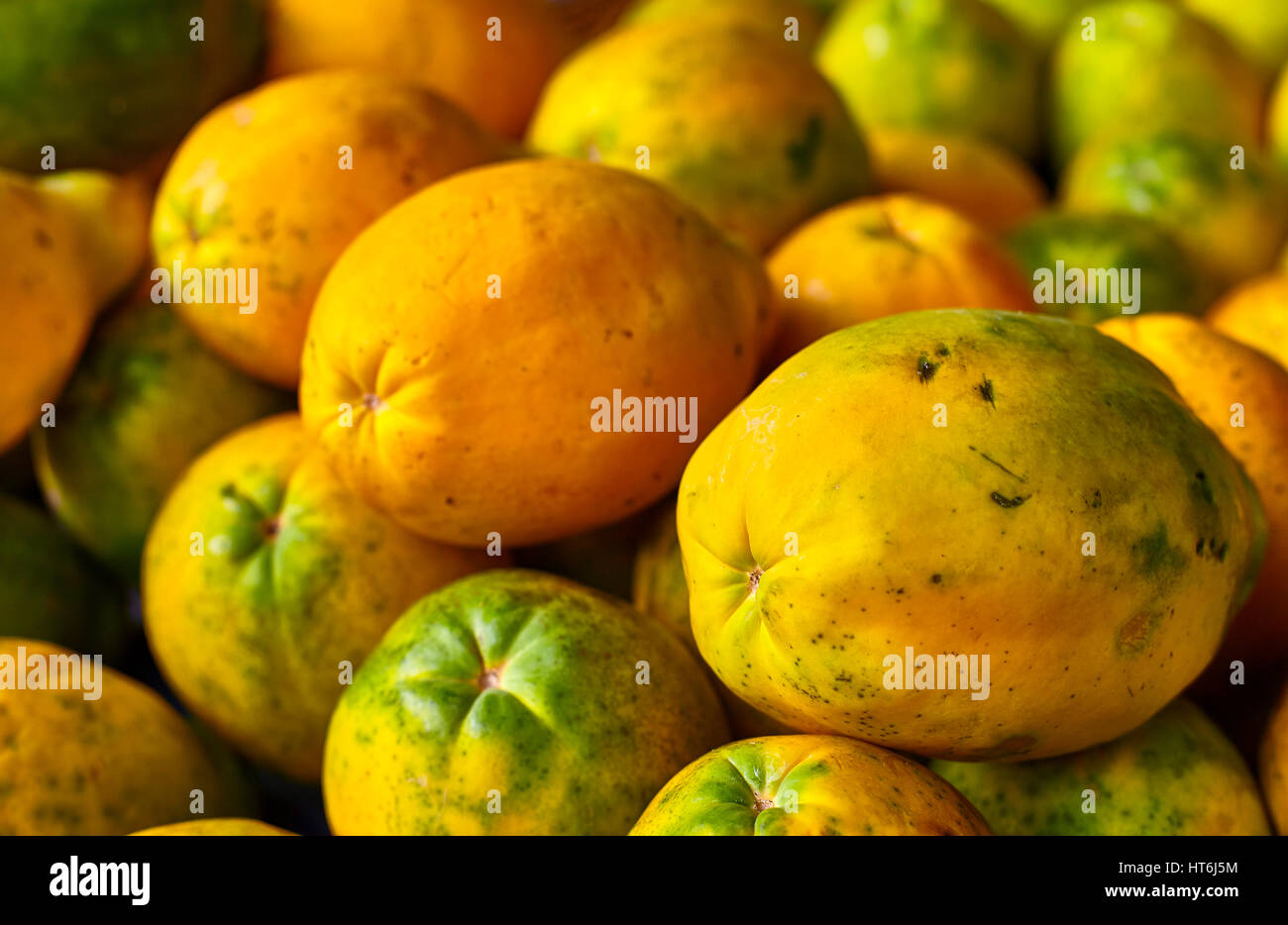 Tropical Hawaiian papaya fruit at farmers market Stock Photo Alamy