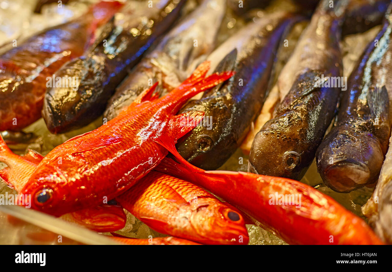 Oahu Market Stock Photos & Oahu Market Stock Images Alamy