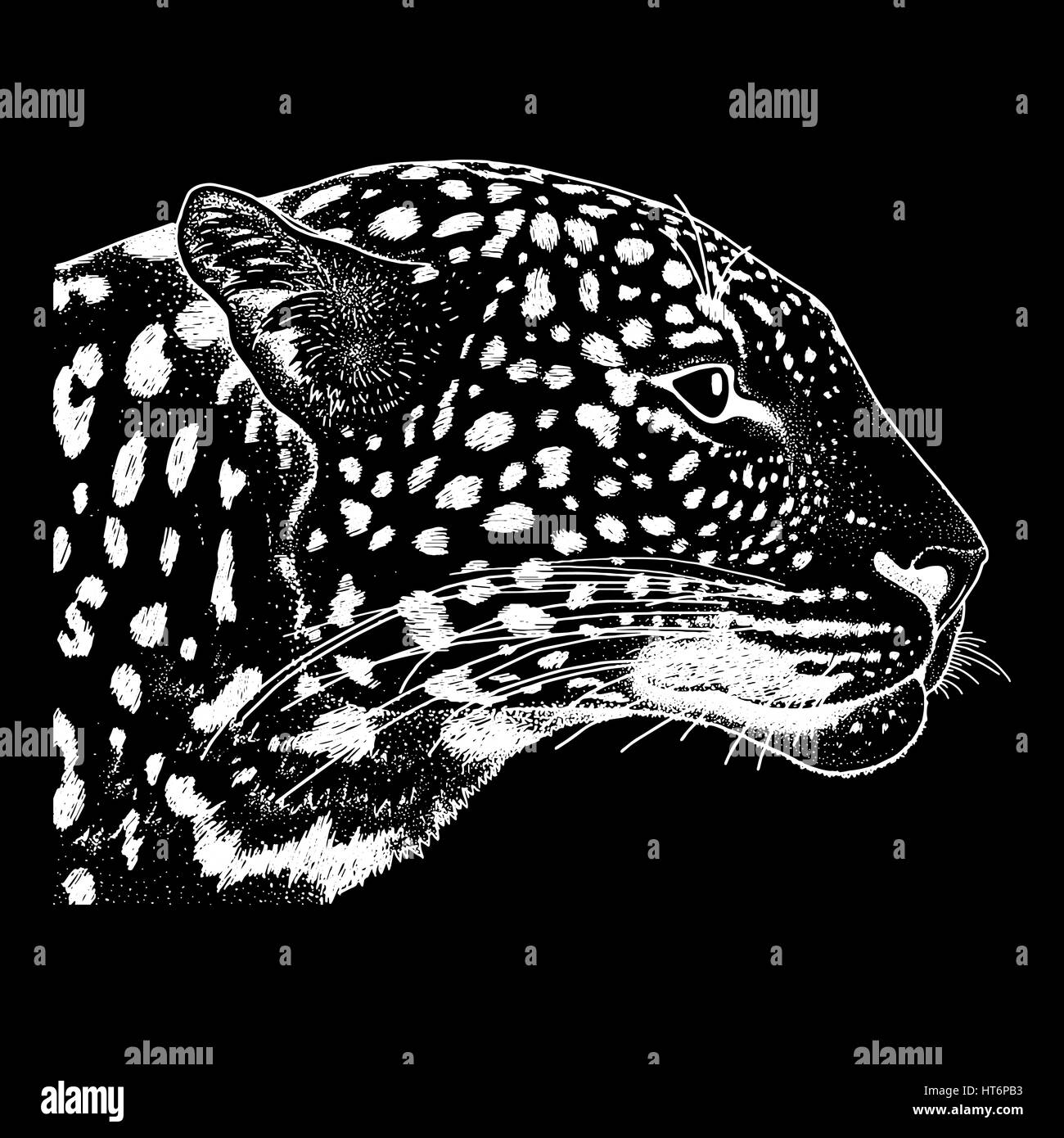 Leopard face tattoo ,Vector illustration, print Stock Vector Image