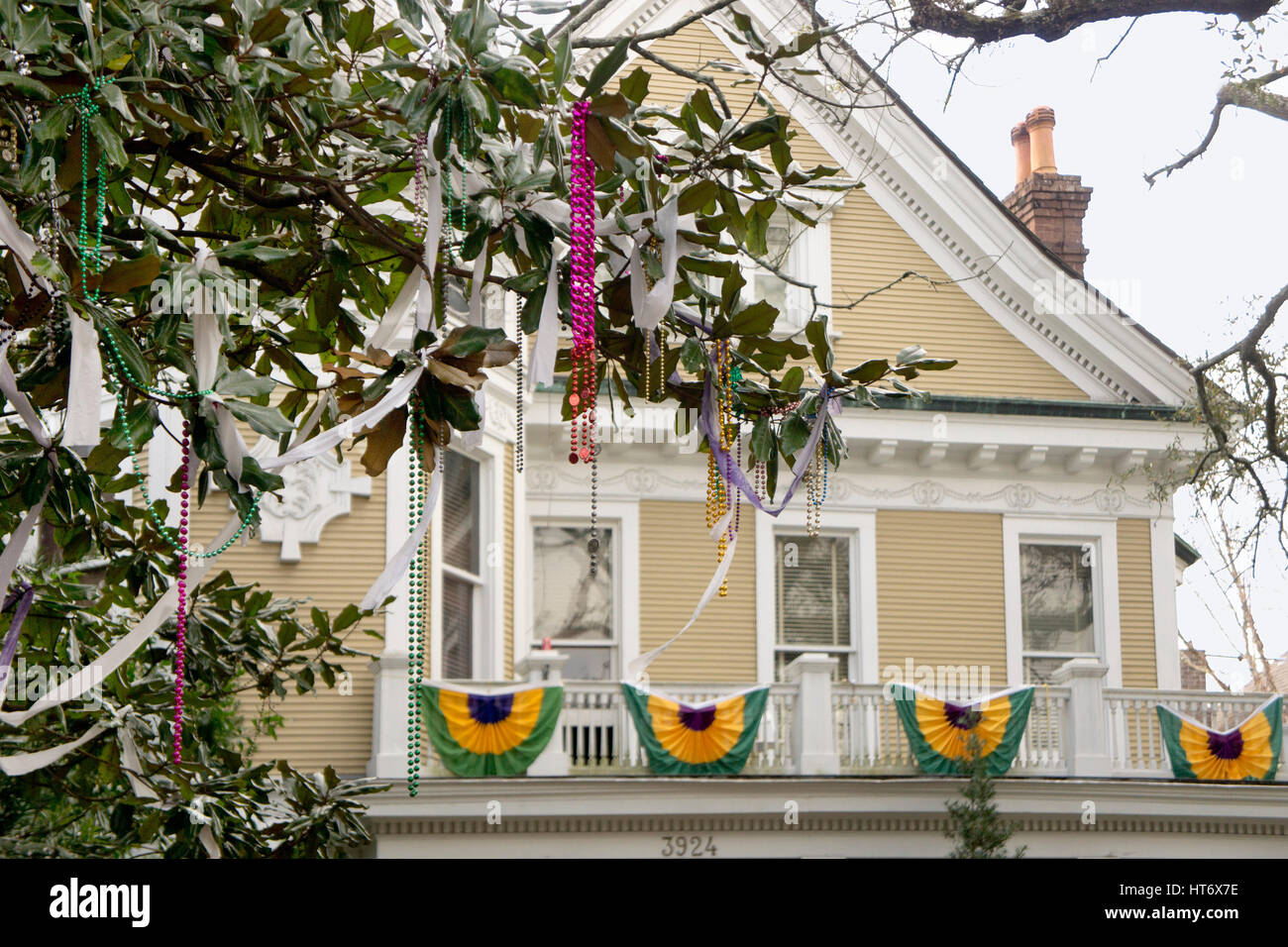 Mardi Gras beads caught in branches in front of a residence in New Orleans. Stock Photo