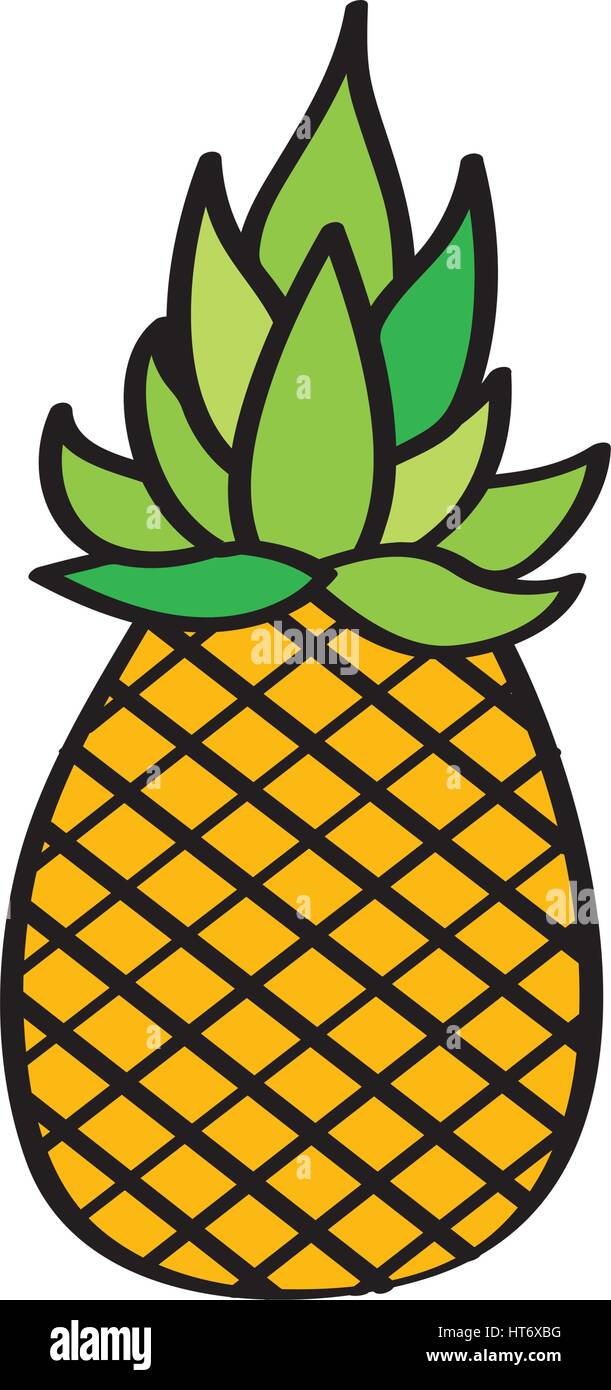 pineapple fresh fruit drawing icon Stock Vector Image & Art - Alamy pineapple fresh fruit drawing icon Stock Vector Image & Art - Alamy