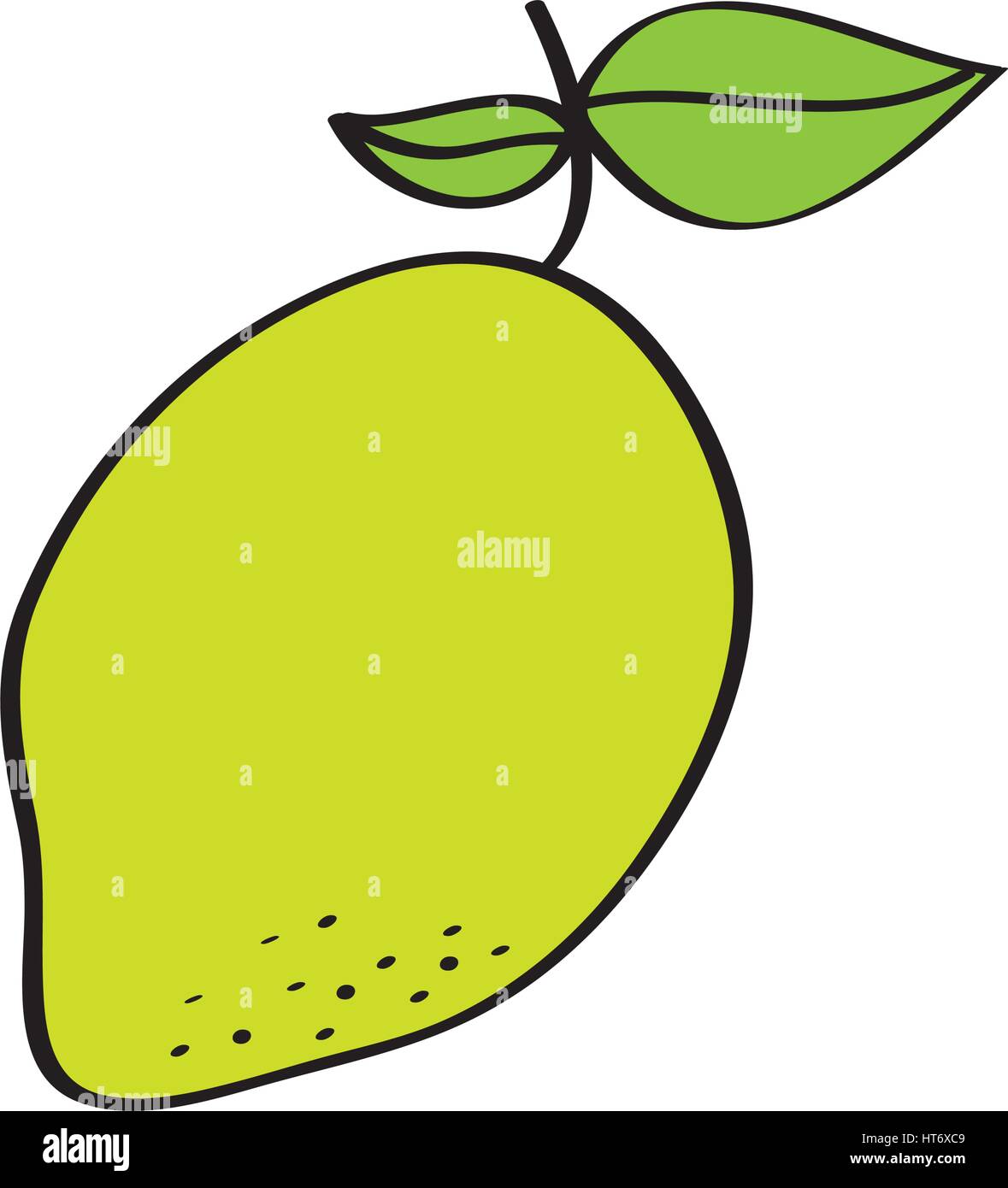 Mango Fresh Fruit Drawing Icon High Resolution Stock Photography And Images Alamy