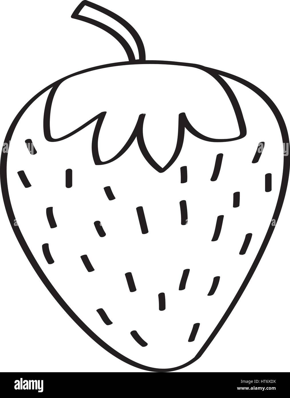 Strawberry Fruit Drawing