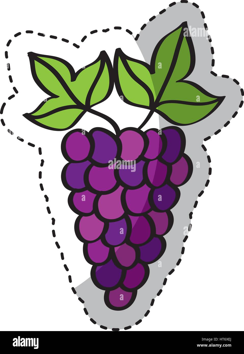 grapes fresh fruit drawing icon Stock Vector Image & Art Alamy