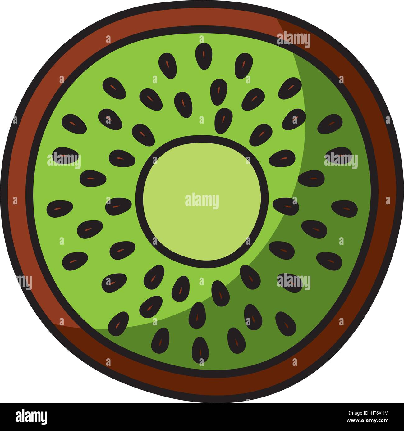 kiwi fresh fruit drawing icon Stock Vector Image & Art Alamy