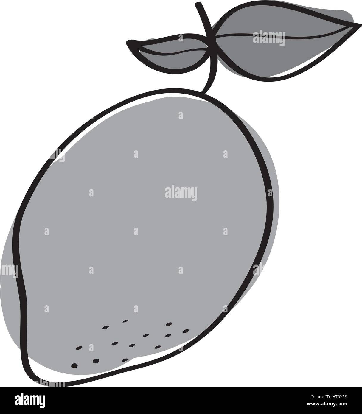 14+ Mango Fruit Picture Drawing Images