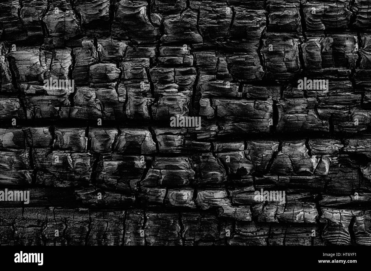 A natural abstract pattern of a wood log burned in a fire creates a ...