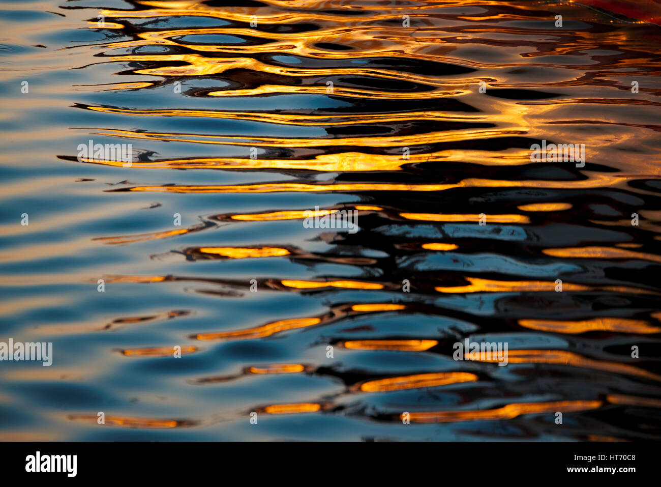 Golden colored waves on sea surface at sunset. Stock Photo