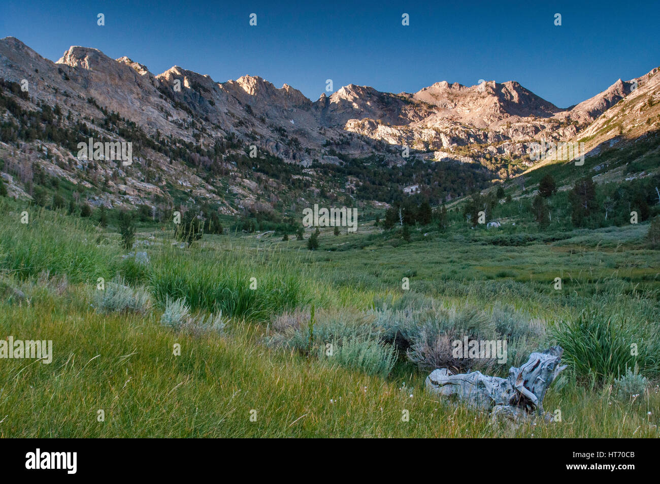 Lamoille Canyon in Ruby Mountains, near Elko, Nevada, USA Stock Photo