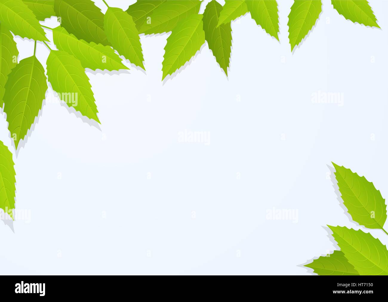 Nature background with tree leaves Stock Vector Image & Art - Alamy