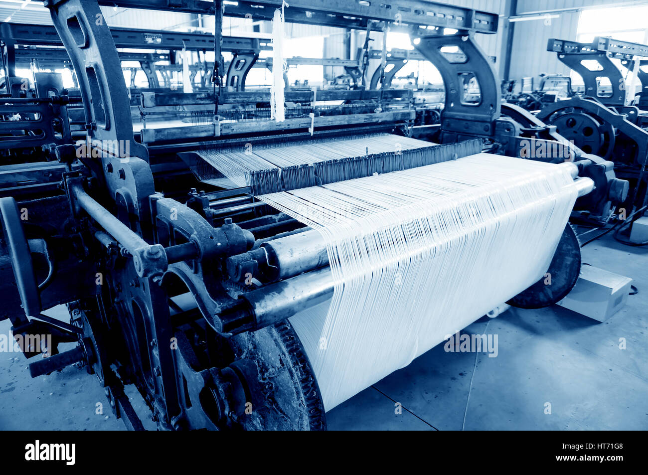 A row of textile looms weaving cotton yarn in a textile mill. Stock Photo