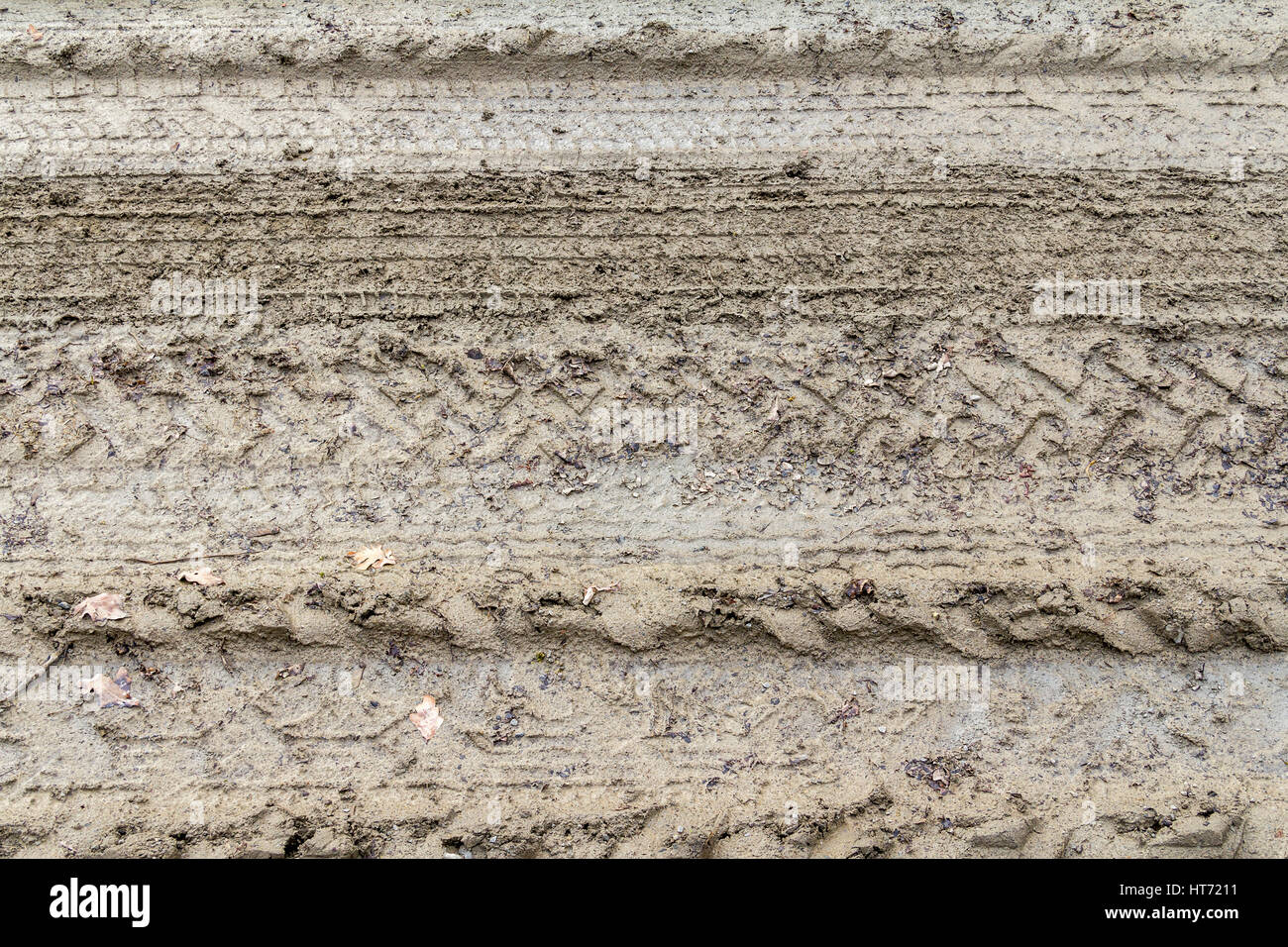 muddy ground including lots of skidmarks Stock Photo Alamy