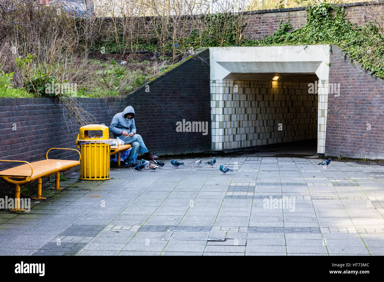 homeless shelter in querns highway underpass