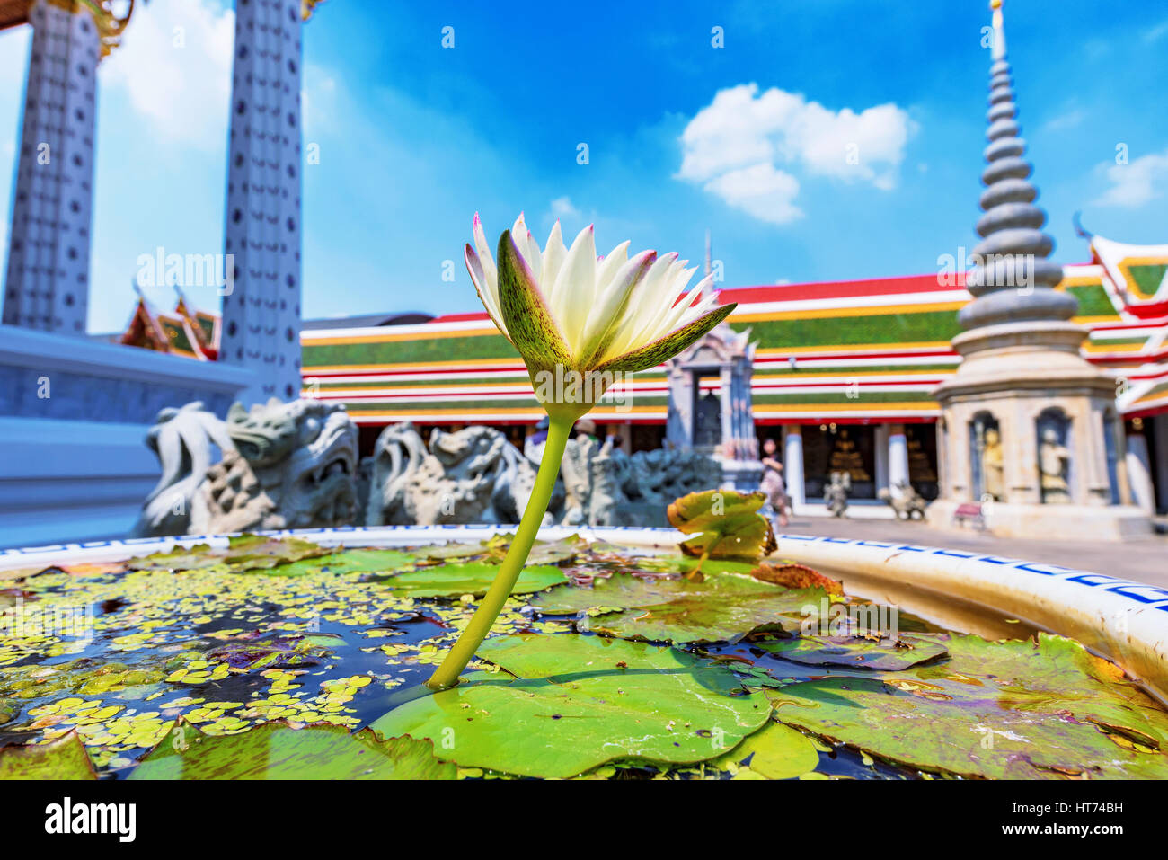Flower in a pond with Thai temple in the background Stock Photo - Alamy