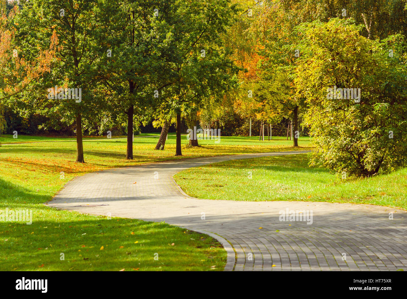 Fallen yellow leaves on a path in a city park Stock Photo - Alamy