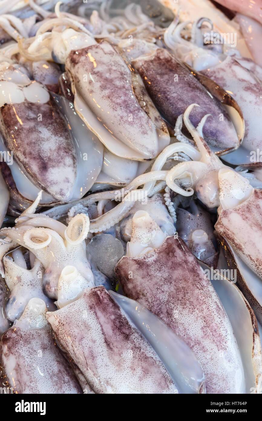 close up fresh squid in local market Stock Photo - Alamy