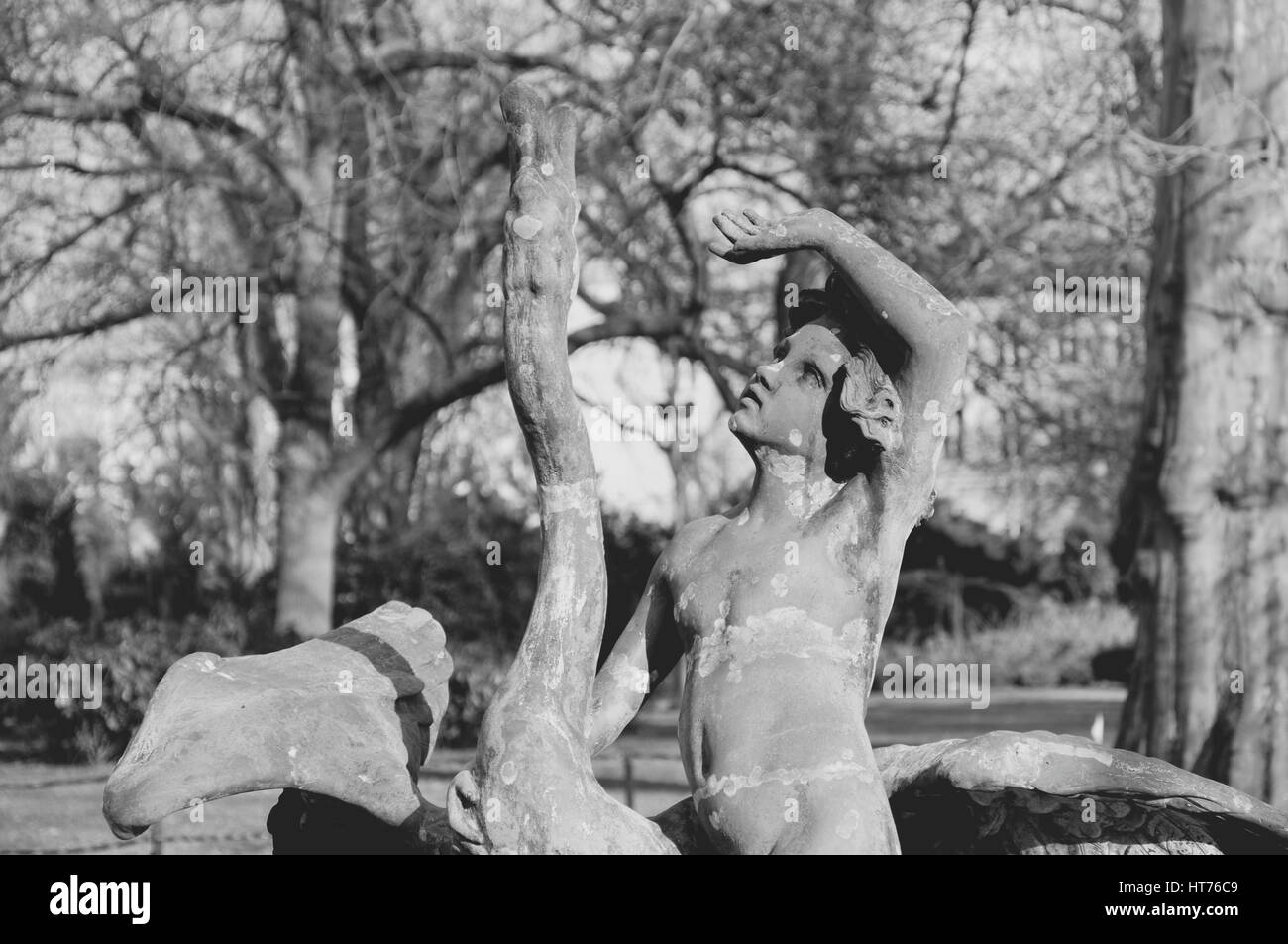 Fountain "Boy with a Swan", Fontanna "Chłopiec z łabędziem", Brunnen "Knabe mit Schwan". Wroclaw, Poland. © Pawel M. Mikucki Stock Photo