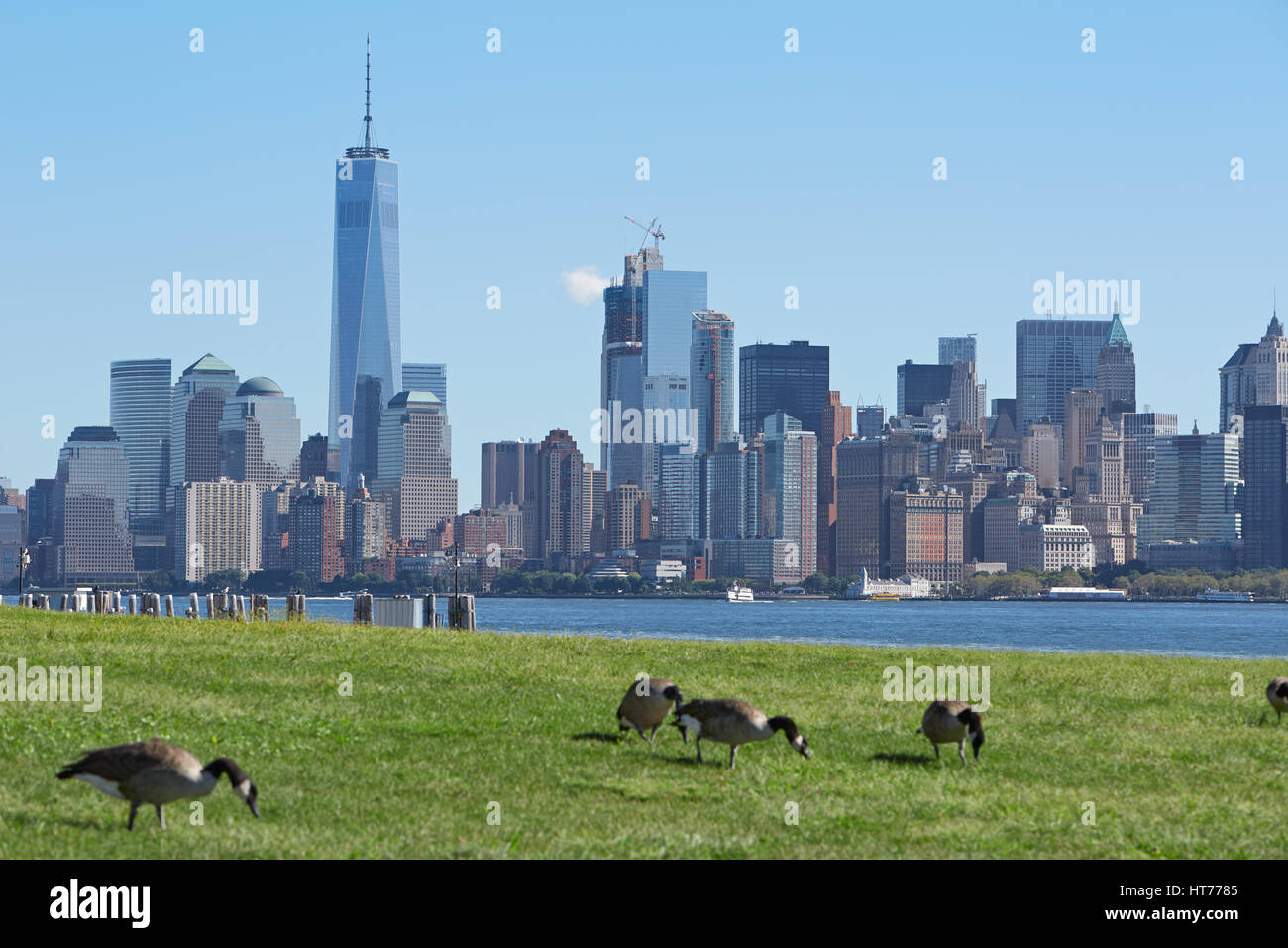 New York city skyline with green meadow and Canada geese in a clear sunny day Stock Photo
