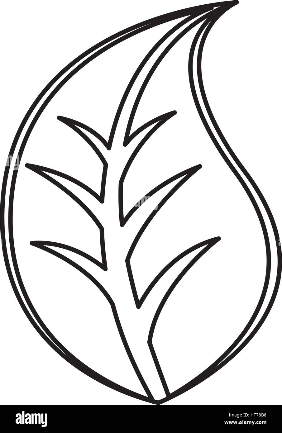 leaf plant ecology symbol Stock Vector Image & Art - Alamy