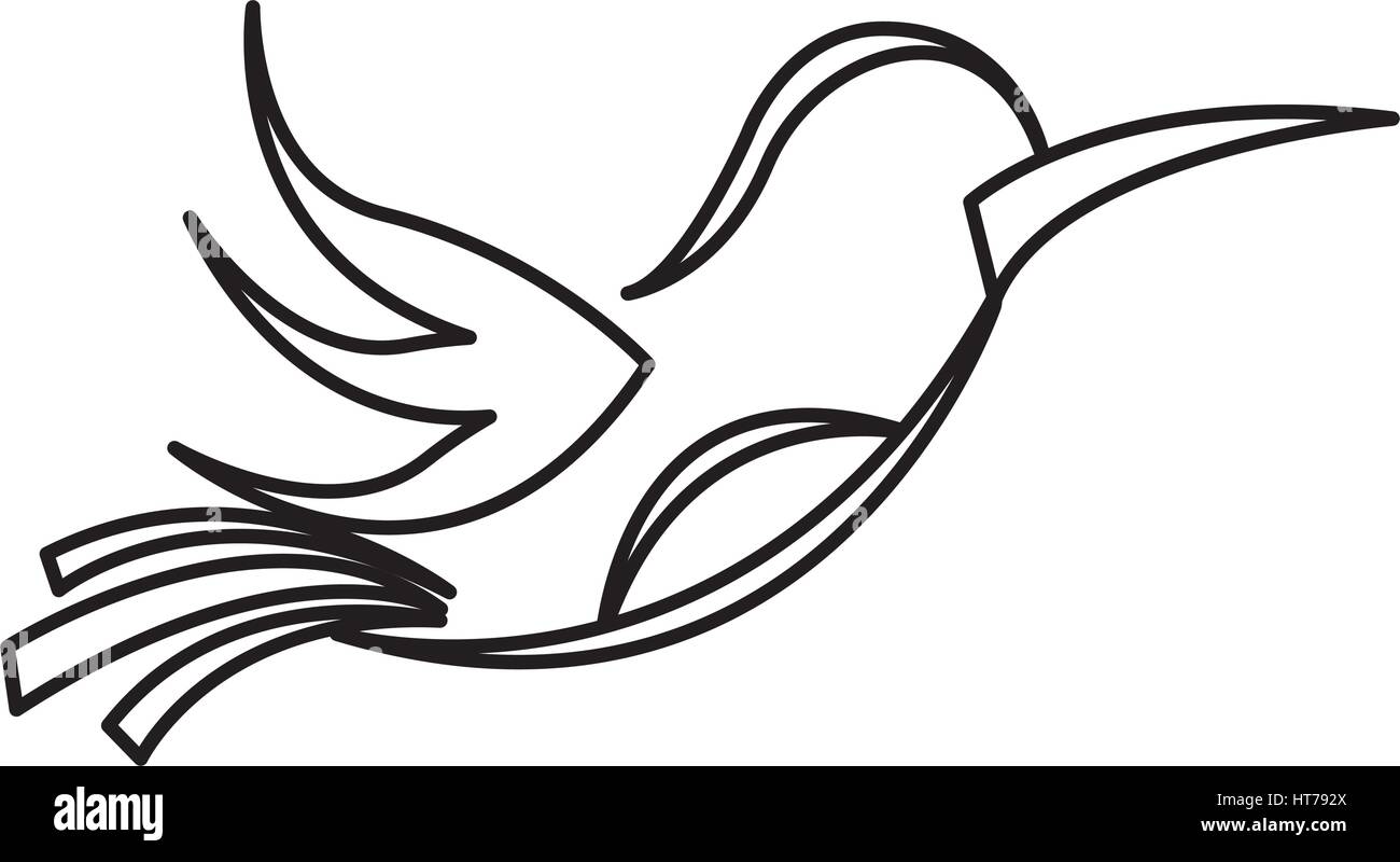 cute bird isolated icon Stock Vector Image & Art - Alamy