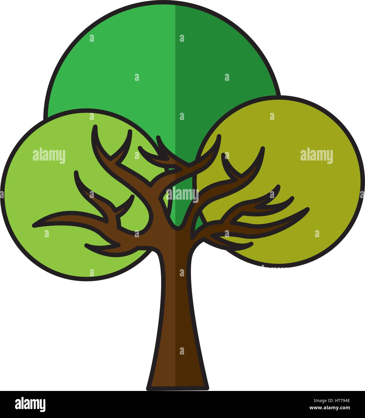 tree plant ecology symbol Stock Vector Image & Art - Alamy