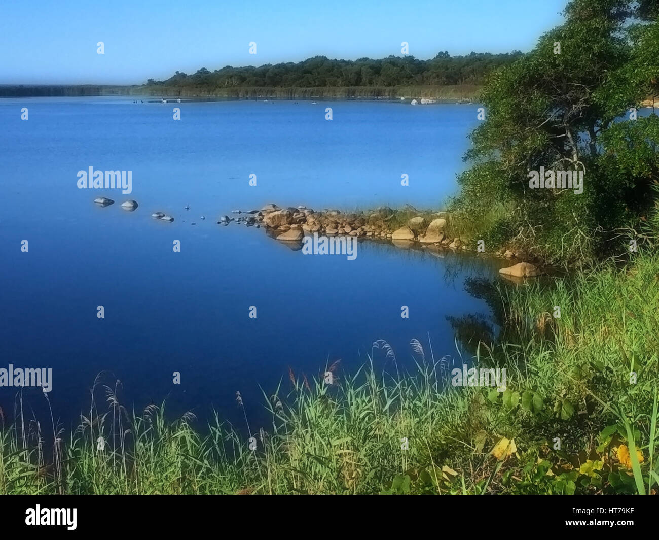 A bright summer day on the shore of a salt pond Stock Photo Alamy