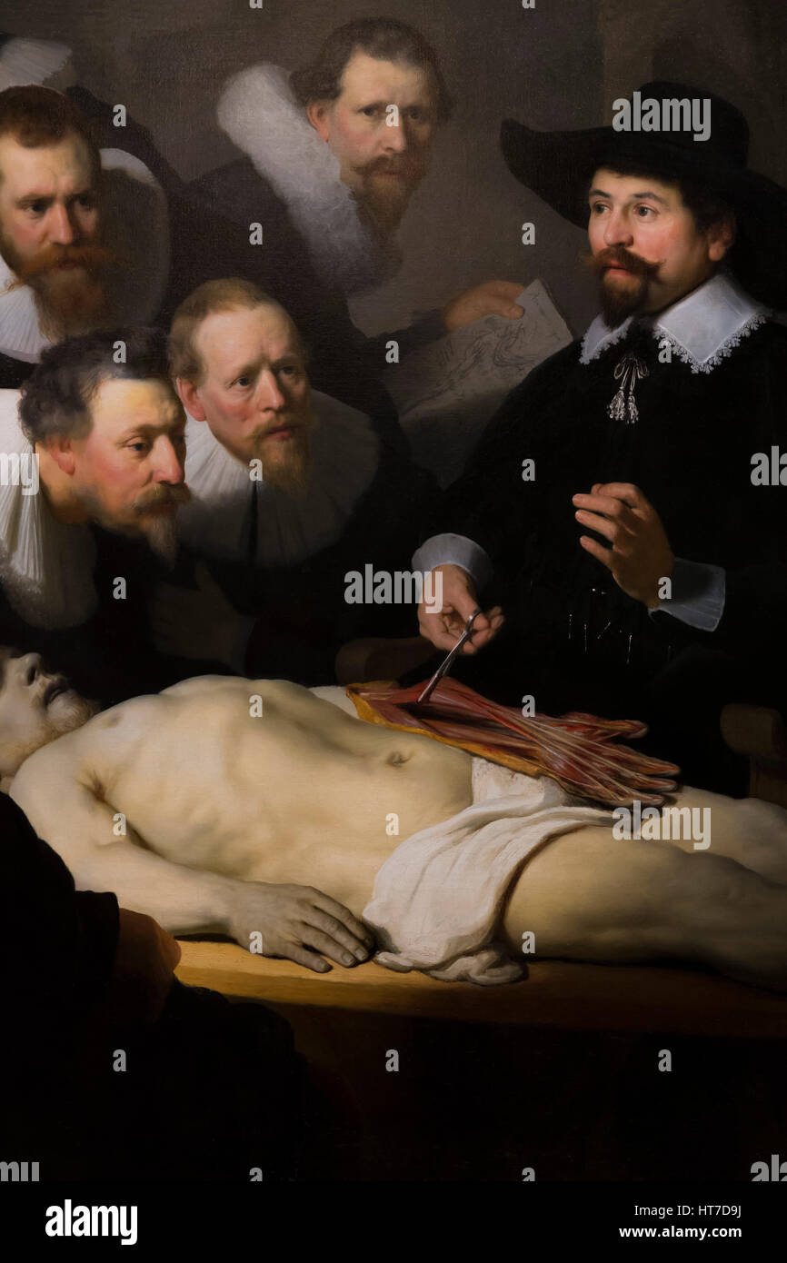 Detail of The Anatomy Lesson of Dr Nicholas Tulp, by Rembrandt, 1632, Royal Art Gallery, Mauritshuis Museum, The Hague, Netherlands, Europe Stock Photo