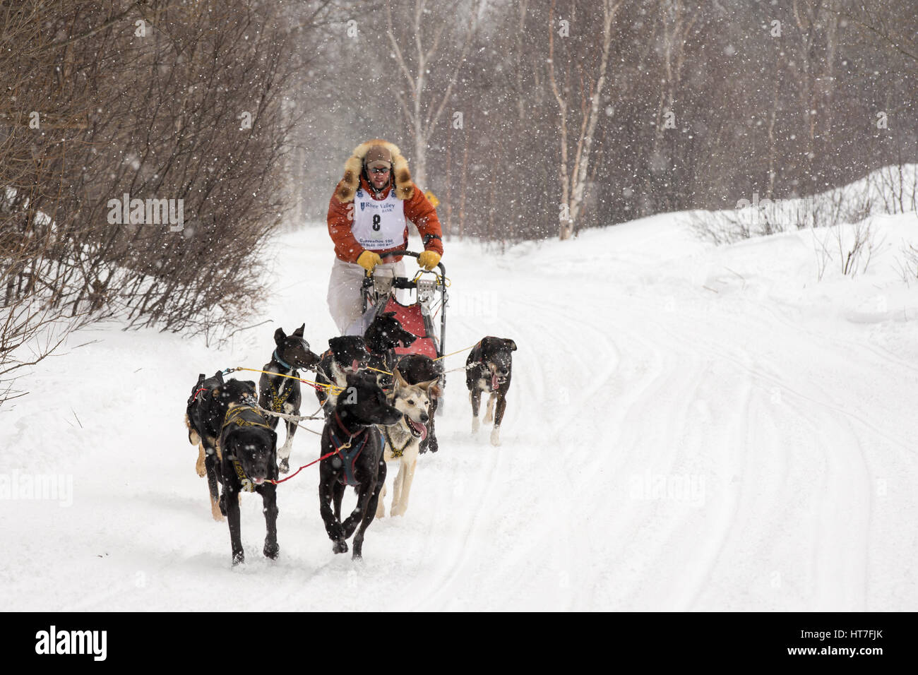 Copperdog hires stock photography and images Alamy