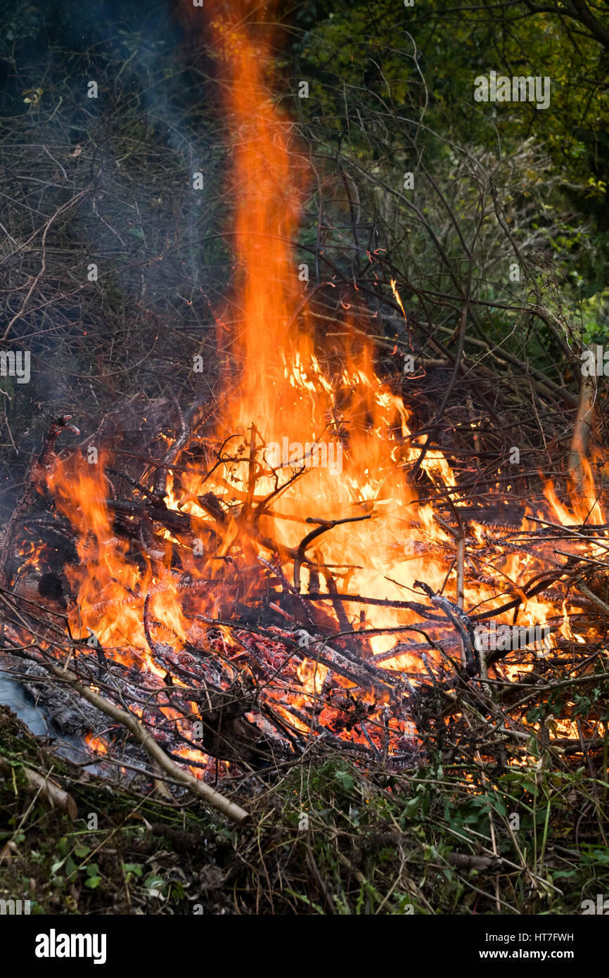 A garden bonfire burning Stock Photo Alamy
