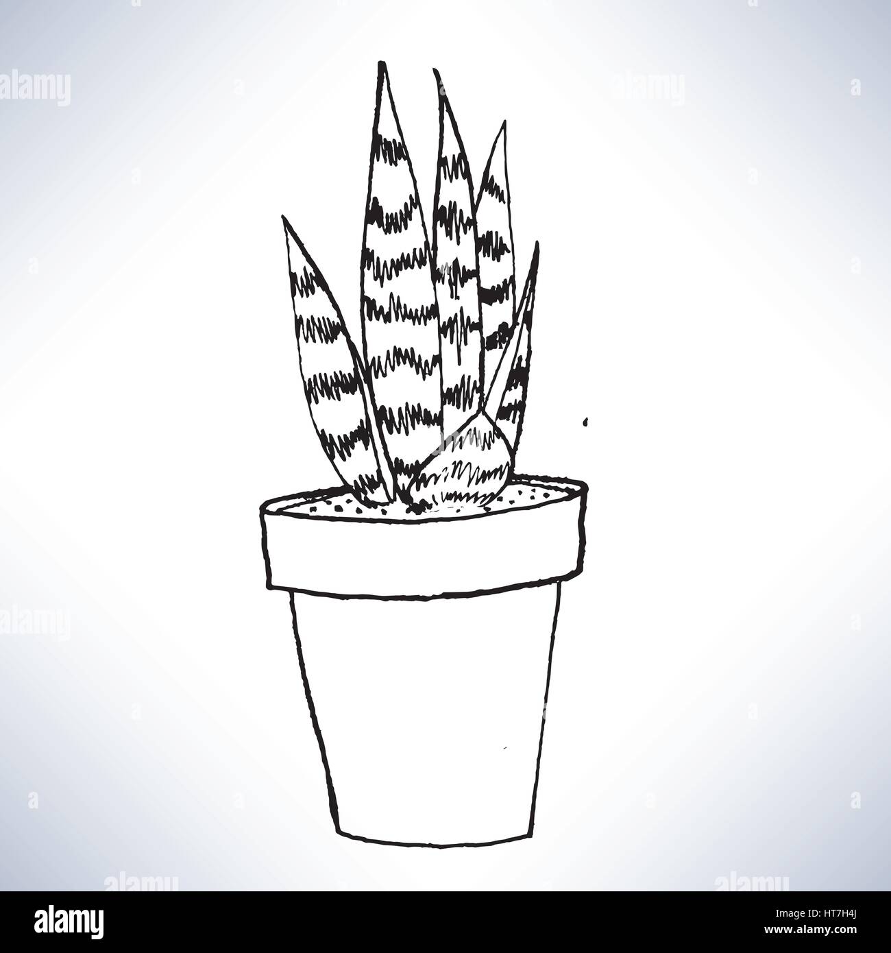 Isolated hand drawn lineart a potted plant Stock Vector Image & Art - Alamy