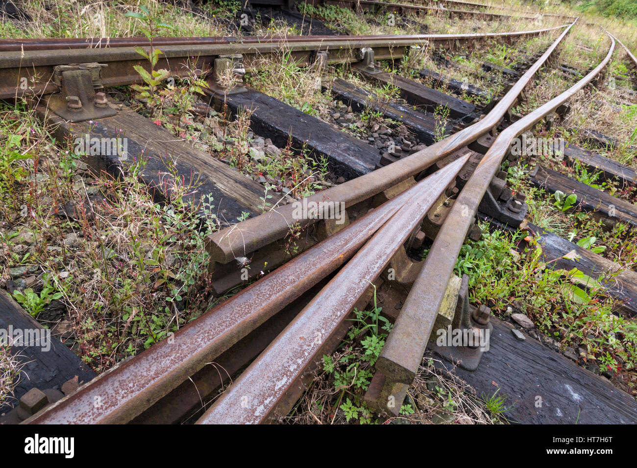 Weeds and plants growing up around old rusty railway points or switching, England, UK Stock Photo