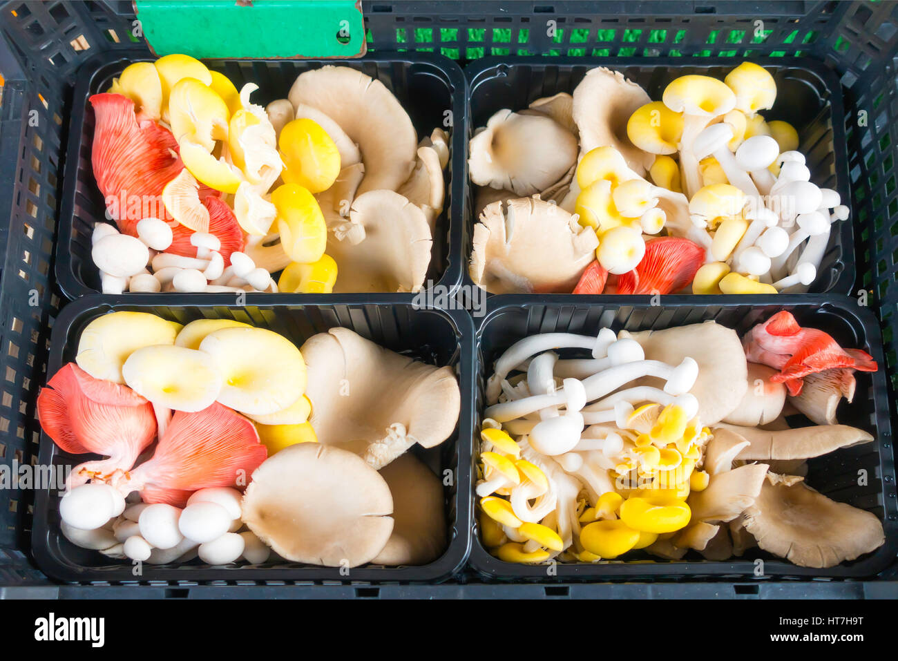 of mushrooms hires stock photography and images Alamy