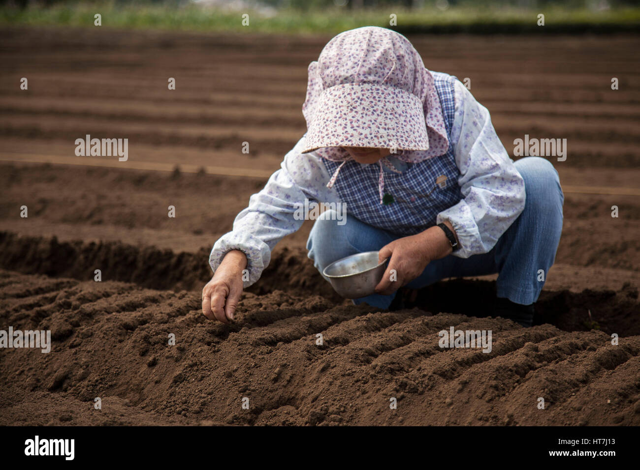 A Female Farmer Plants For The Upcoming Growing Season In Tokyo, Japan Stock Photo