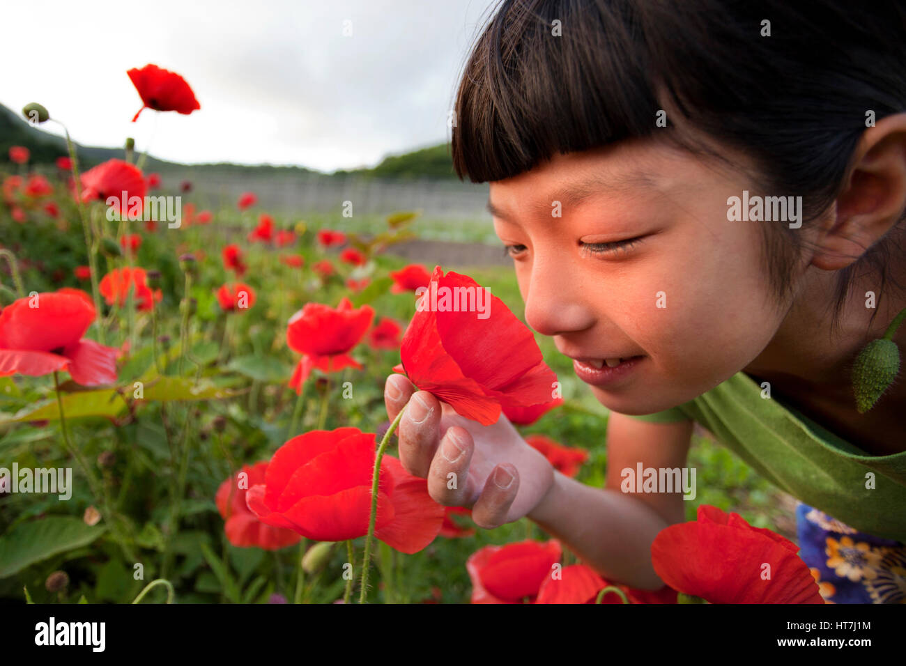 Close-up Of Ashima Shiraishi Smelling A Poppy Flower Stock Photo