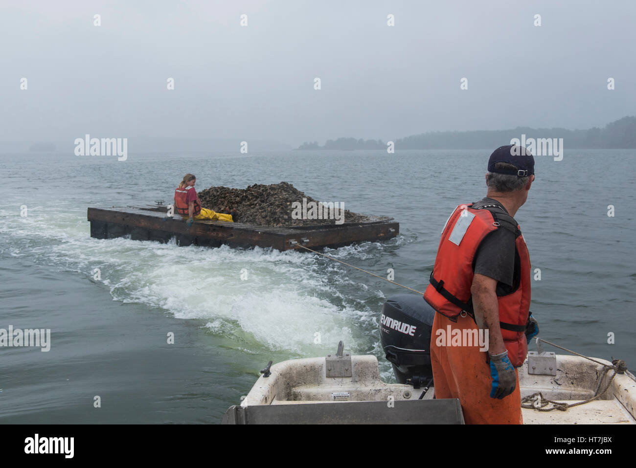A Barge Full Of Oysters Being Transported To The Great Bay Stock Photo