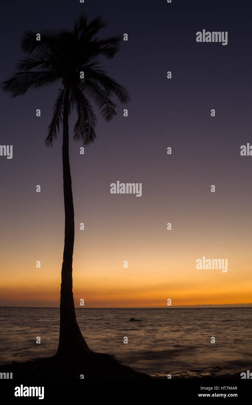Sunset hawaii palm tree hi-res stock photography and images - Alamy