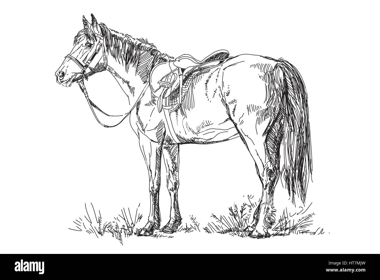 Horse jump drawing hires stock photography and images Alamy