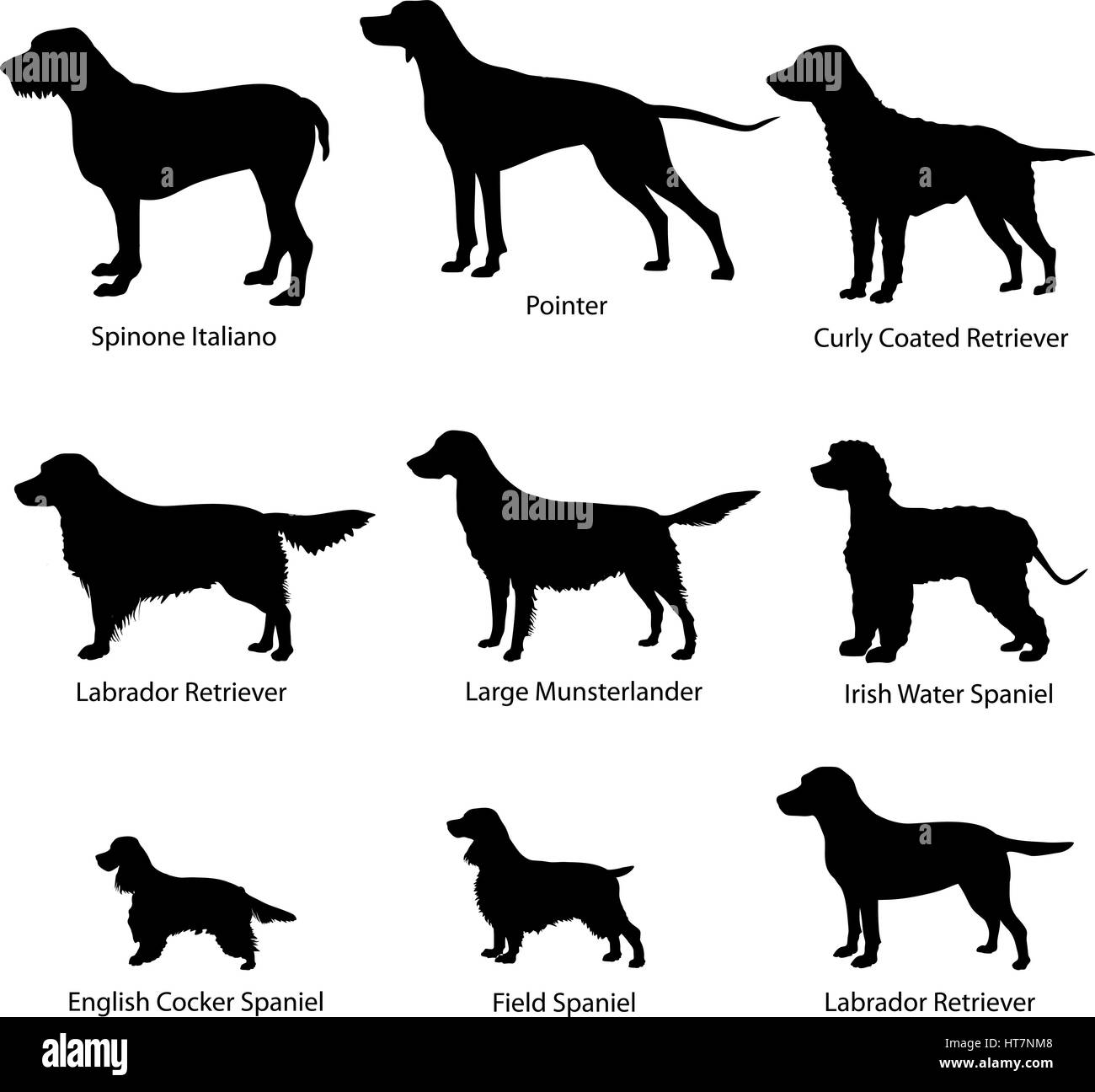 Dog icon set. Gun dogs vector illustration. Silhouette Collection of gundog. Stock Vector