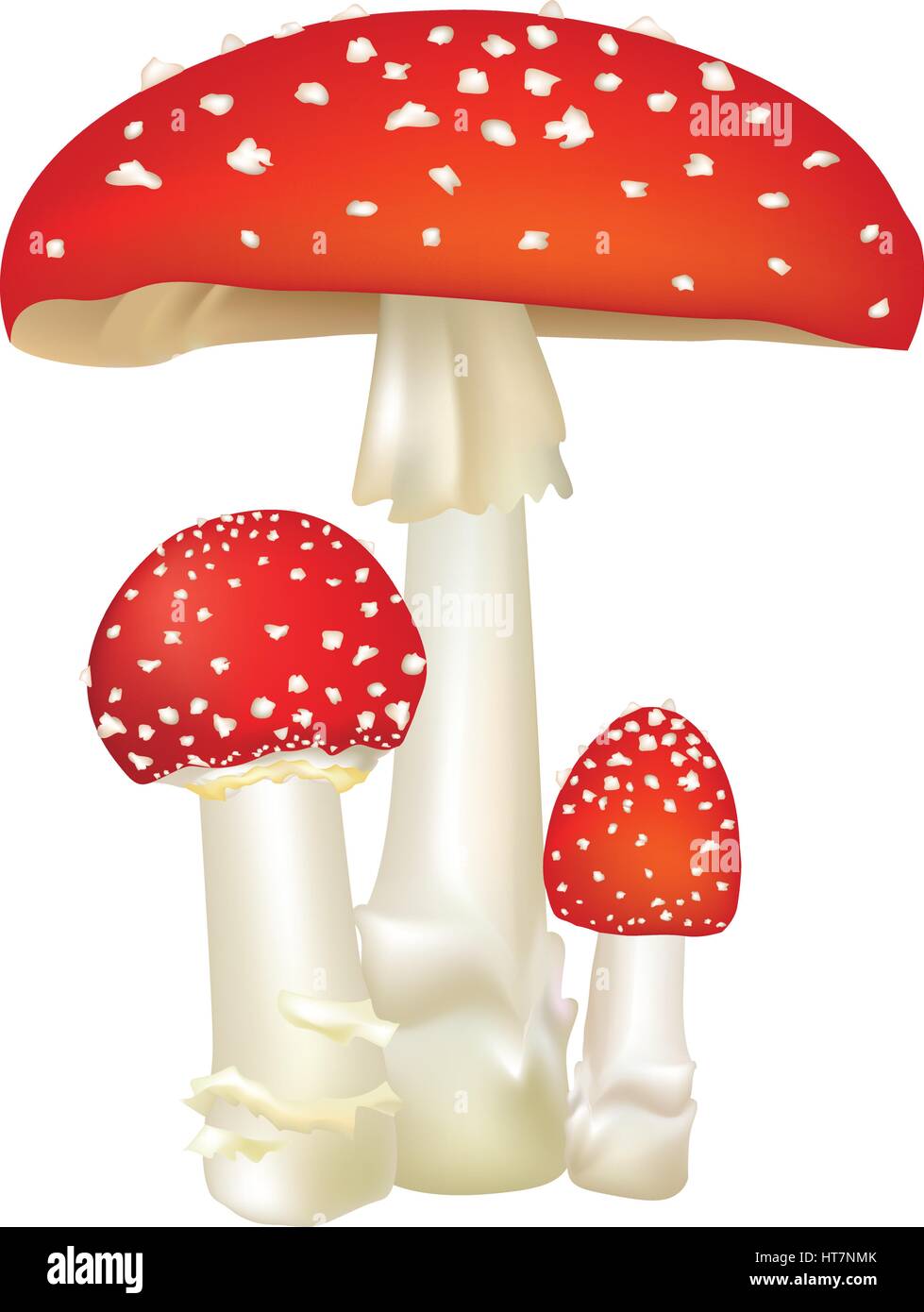 Red poison mushroom isolated on white background. Vector illustration set. Stock Vector