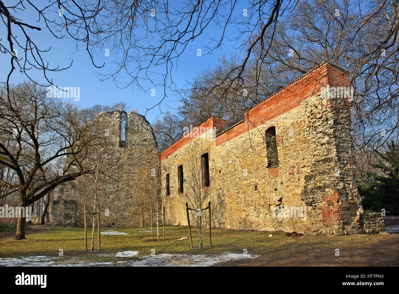 Ruins of Franciscan church & monastery at Margaret (Margitsziget) island on Danube river, Budapest, Hungary Stock Photo
