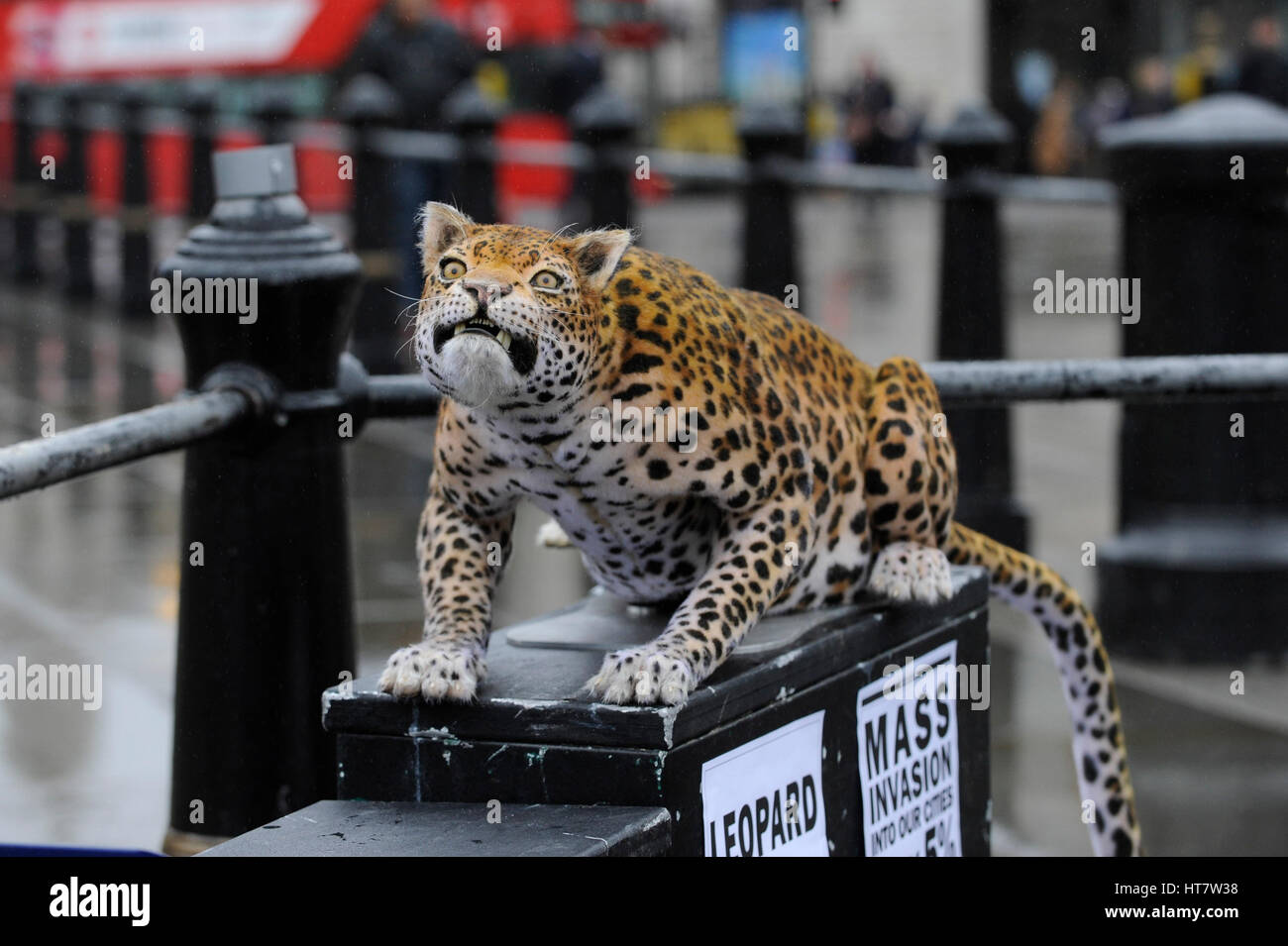 London, UK. 8th Mar, 2017. Nat Geo WILD unveils the world's first hyper realistic animatronic leopard to mark the launch of Big Cat Week (6-12 March), in association with charity the Big Cats Initiative. Credit: Stephen Chung/Alamy Live News Stock Photo