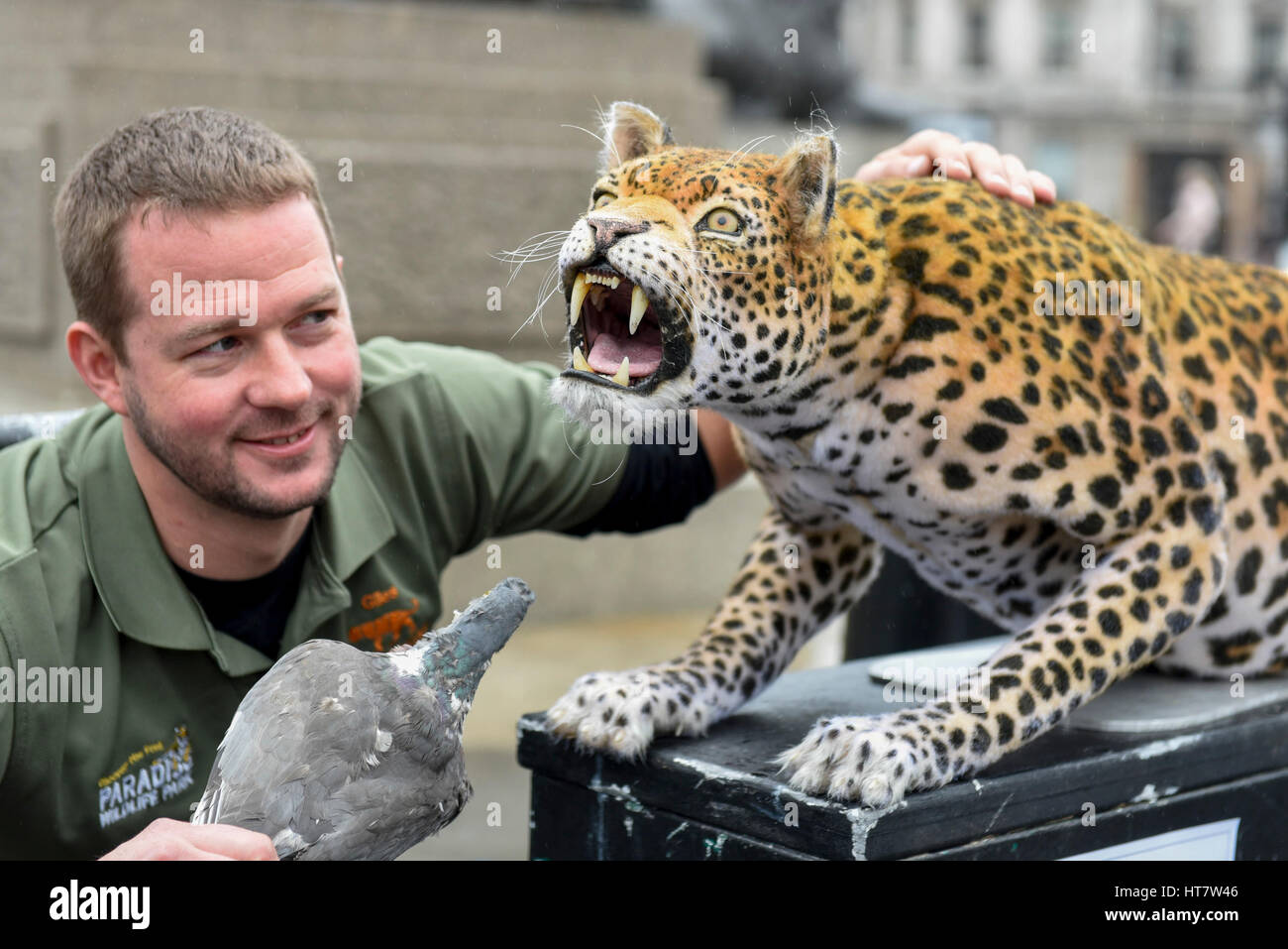 London, UK. 8th Mar, 2017. Giles Clark, Managing Director of The Big Cat Sanctuary, poses with an animatronic leopard in Trafalgar Square as Nat Geo WILD unveils the world's first hyper realistic animatronic leopard to mark the launch of Big Cat Week (6-12 March), in association with charity the Big Cats Initiative. Credit: Stephen Chung/Alamy Live News Stock Photo