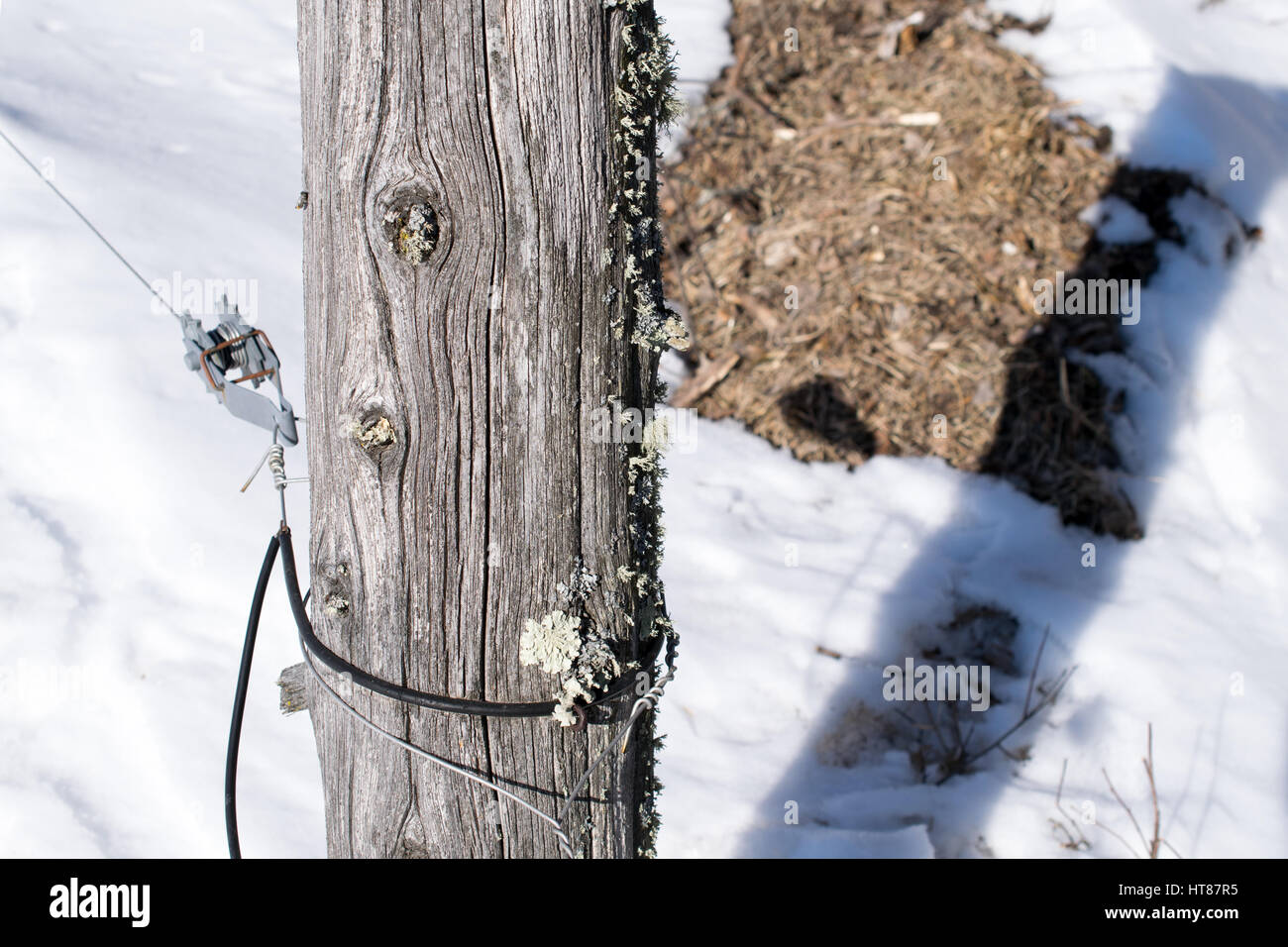 Weathered Fence Post in Winter Stock Photo
