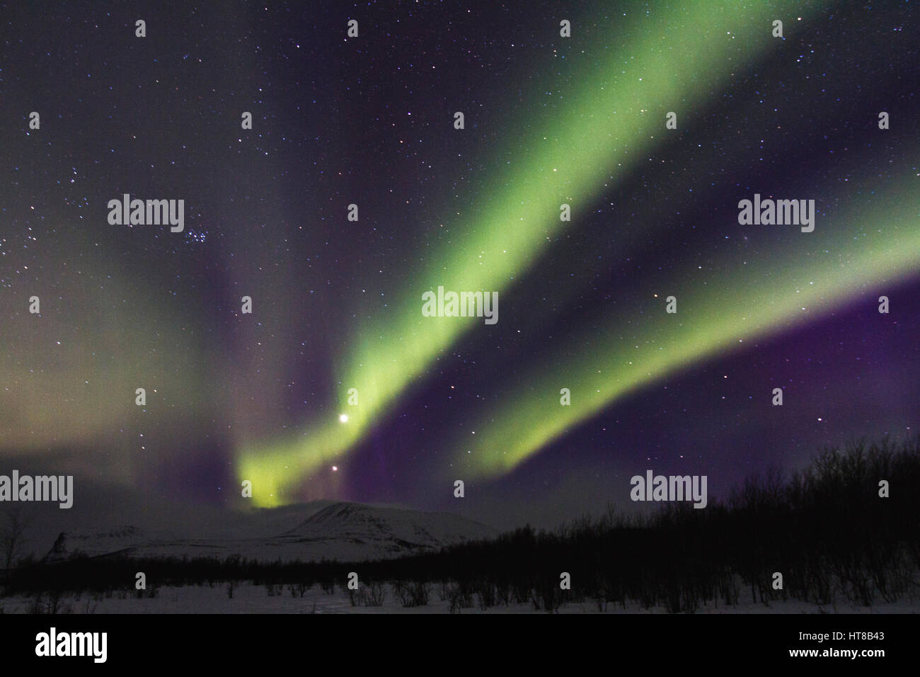 Northern light, Aurora borealis, over Nikkaluokta, mountains in background, auroa are violett, green, winter season, Kiruna, Swedish Lapland, Sweden Stock Photo