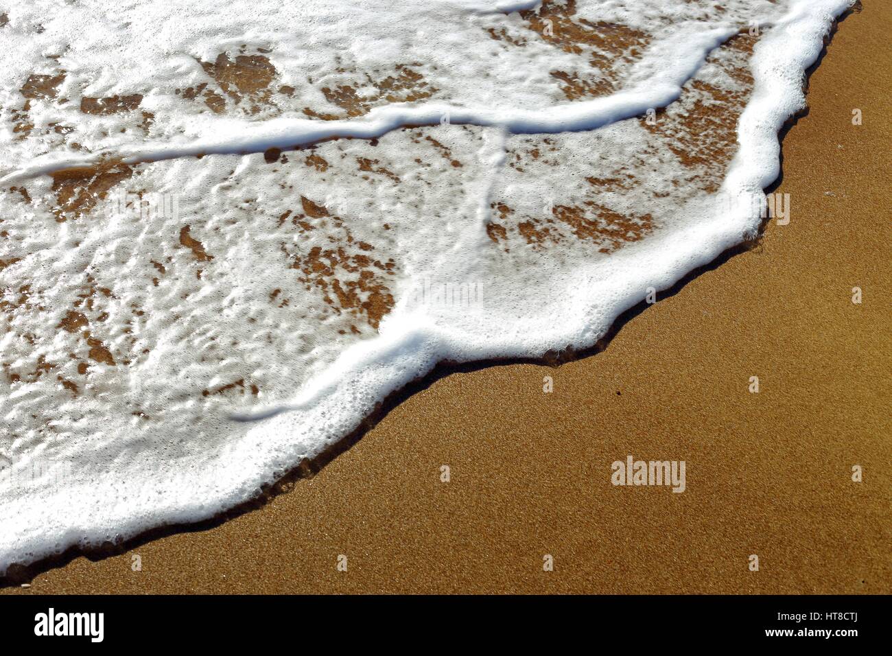 foamy wave of the sea splashing on a sandy beach Stock Photo - Alamy